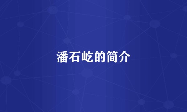 潘石屹的简介