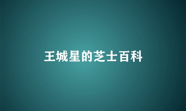王城星的芝士百科