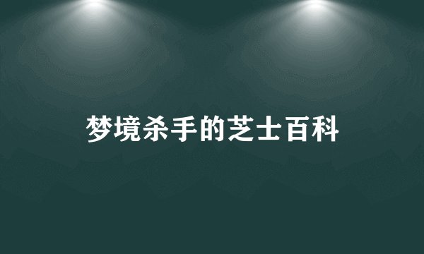 梦境杀手的芝士百科