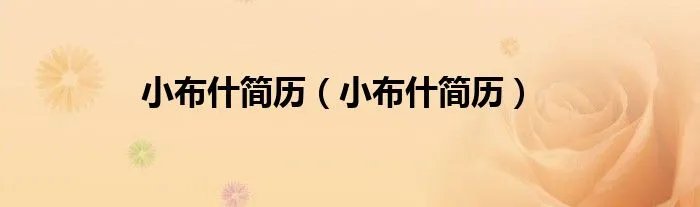 小布什简历(小布什简历)