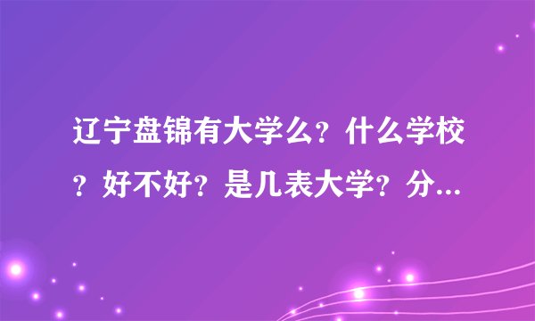 辽宁盘锦有大学么?什么学校?好不好?是几表大学?分数大概是多少