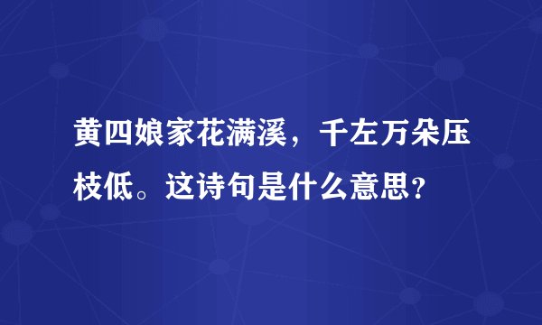 黄四娘家花满溪，千左万朵压枝低。这诗句是什么意思？