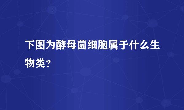 下图为酵母菌细胞属于什么生物类?