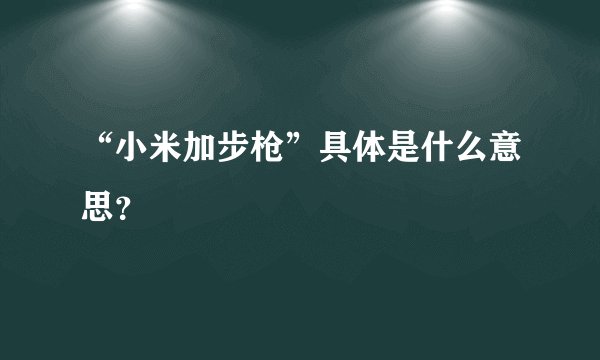 “小米加步枪”具体是什么意思？