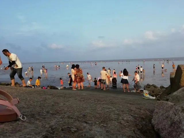 请问上海周边100公里左右自驾游有哪些景点推荐?