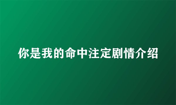 你是我的命中注定剧情介绍