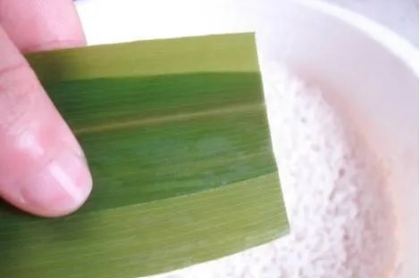 白粽子怎么包