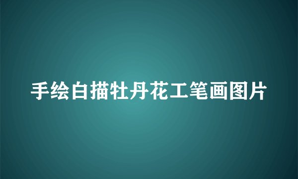 手绘白描牡丹花工笔画图片
