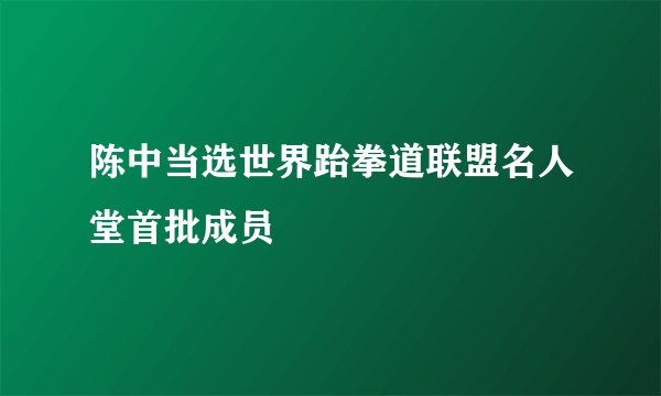 陈中当选世界跆拳道联盟名人堂首批成员