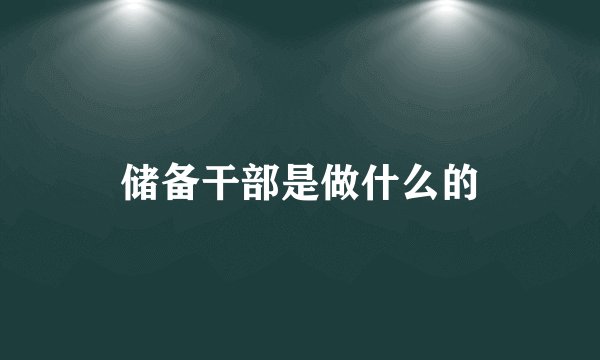 储备干部是做什么的