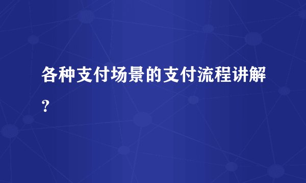 各种支付场景的支付流程讲解？