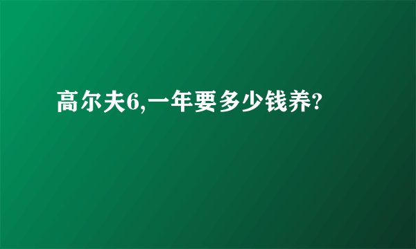 高尔夫6,一年要多少钱养?