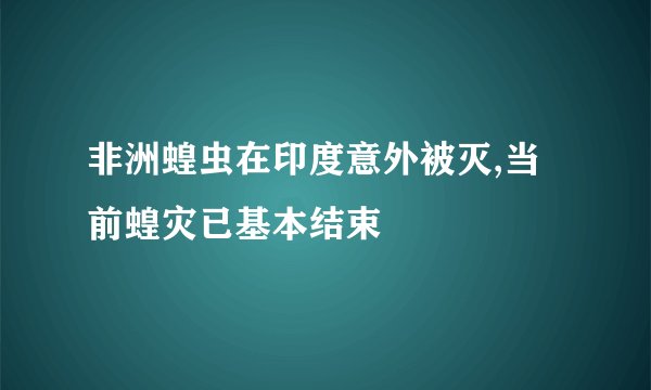 非洲蝗虫在印度意外被灭,当前蝗灾已基本结束