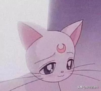 有什么好看的数学书推荐吗?