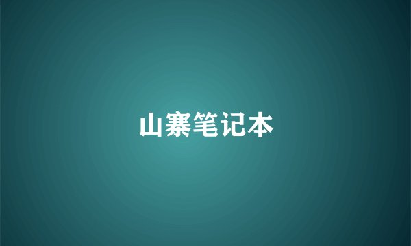 山寨笔记本