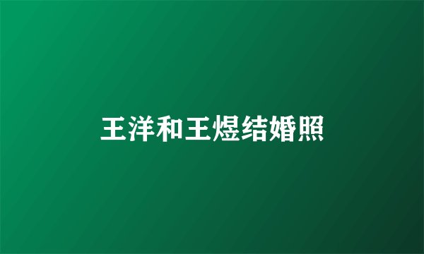 王洋和王煜结婚照