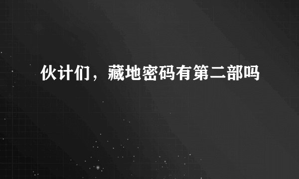 伙计们，藏地密码有第二部吗