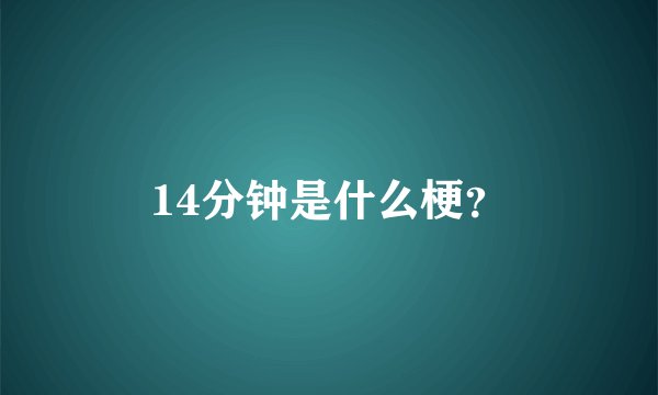 14分钟是什么梗？