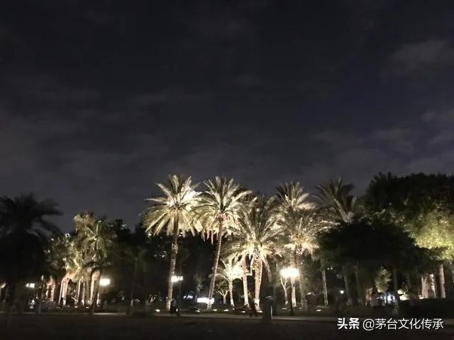 明朝、清朝皇子是如何培养的?