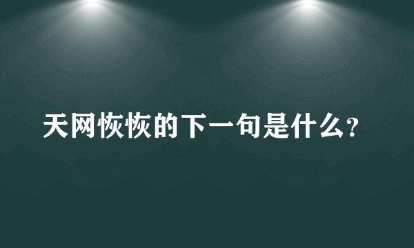 天网恢恢的下一句是什么？