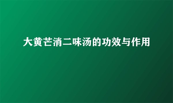 大黄芒消二味汤的功效与作用