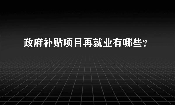 政府补贴项目再就业有哪些？