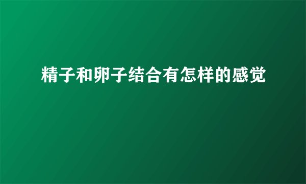 精子和卵子结合有怎样的感觉