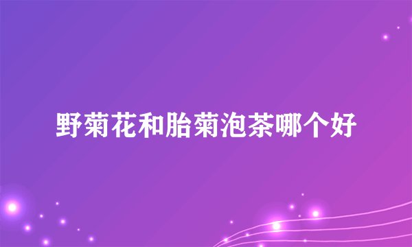 野菊花和胎菊泡茶哪个好