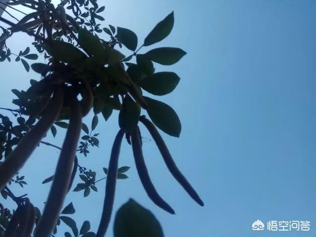 如果你的银行卡里突然多了50个亿，你晚上能睡着吗？