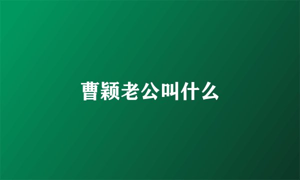 曹颖老公叫什么