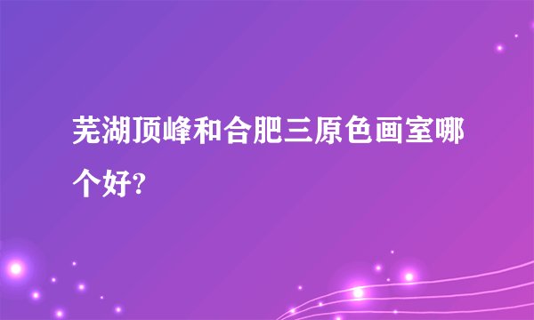 芜湖顶峰和合肥三原色画室哪个好?