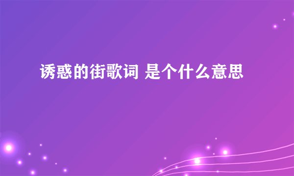 诱惑的街歌词 是个什么意思