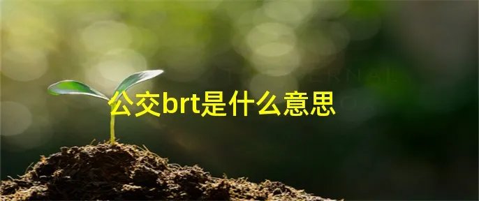 公交brt是什么意思