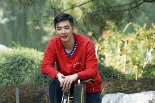 如何评价由金世佳、柴碧云、李茂、徐小飒主演的电视剧《我们的四十年》?
