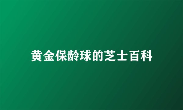 黄金保龄球的芝士百科