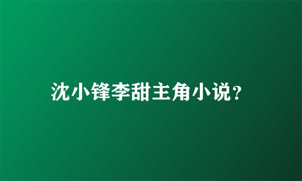 沈小锋李甜主角小说？
