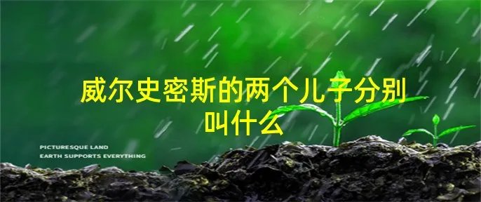 威尔史密斯的两个儿子分别叫什么