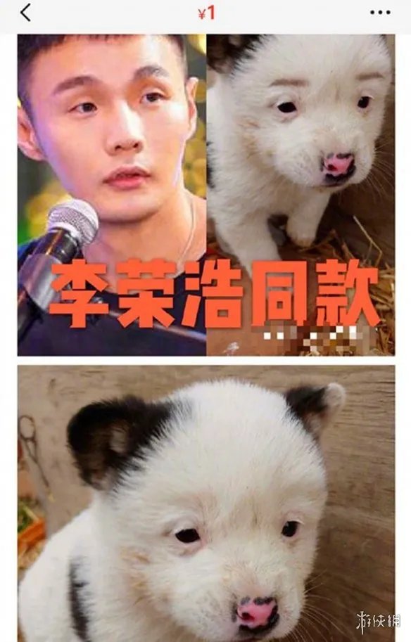 李荣浩同款狗狗是什么梗 李荣浩同款狗狗详细介绍