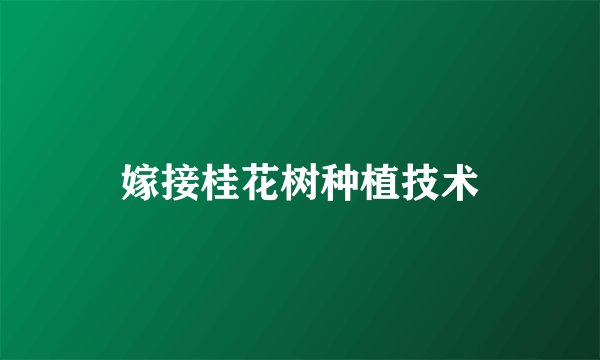 嫁接桂花树种植技术