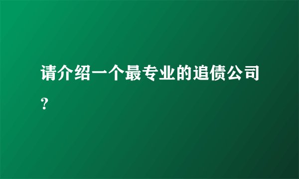 请介绍一个最专业的追债公司？