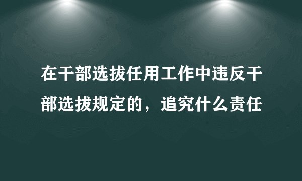在干部选拔任用工作中违反干部选拔规定的，追究什么责任