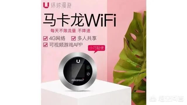 出境游时，你会选择什么方式上网？