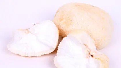 新鲜猴头菇怎么吃