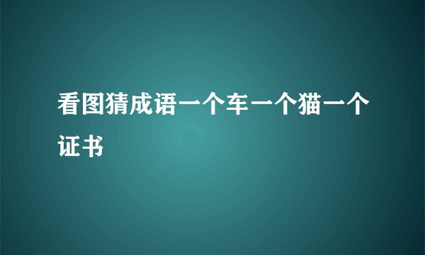 看图猜成语一个车一个猫一个证书