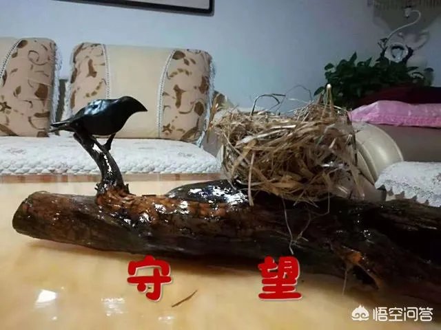 海军70周年庆给你带来什么感受?