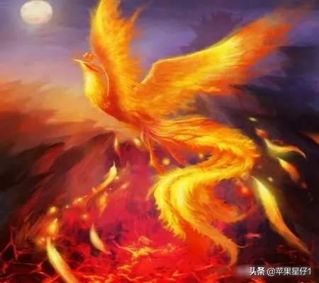 十大圣兽图片