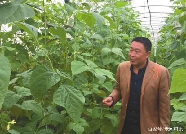 杂交水稻之父袁隆平一共有3个儿子，他们的现状都怎么样？