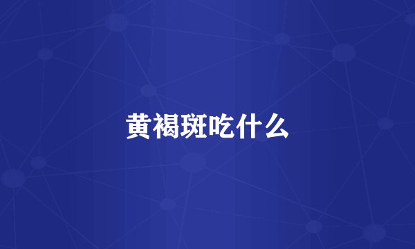 黄褐斑吃什么