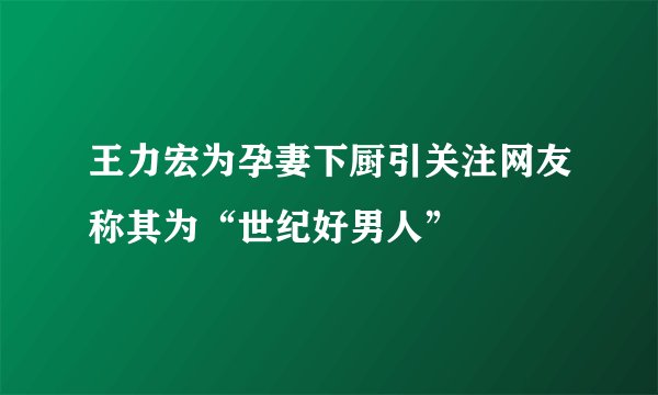 王力宏为孕妻下厨引关注网友称其为“世纪好男人”