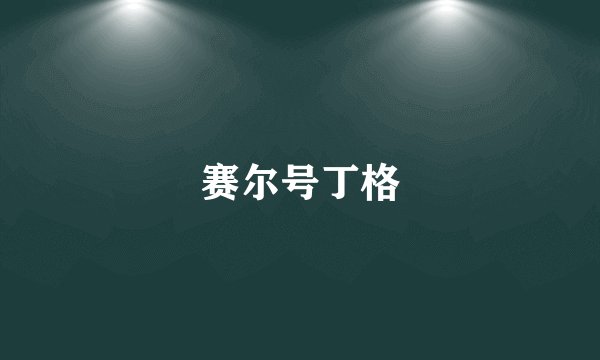 赛尔号丁格
